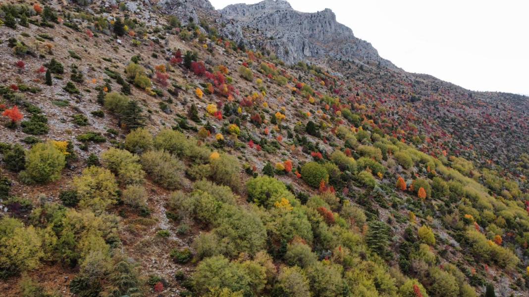 Konya’nın zirvelerinde sonbahar şöleni 13